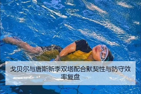 戈贝尔与唐斯新季双塔配合默契性与防守效率复盘